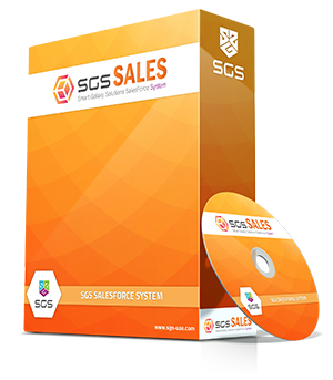 SalesForceSystem-SGS